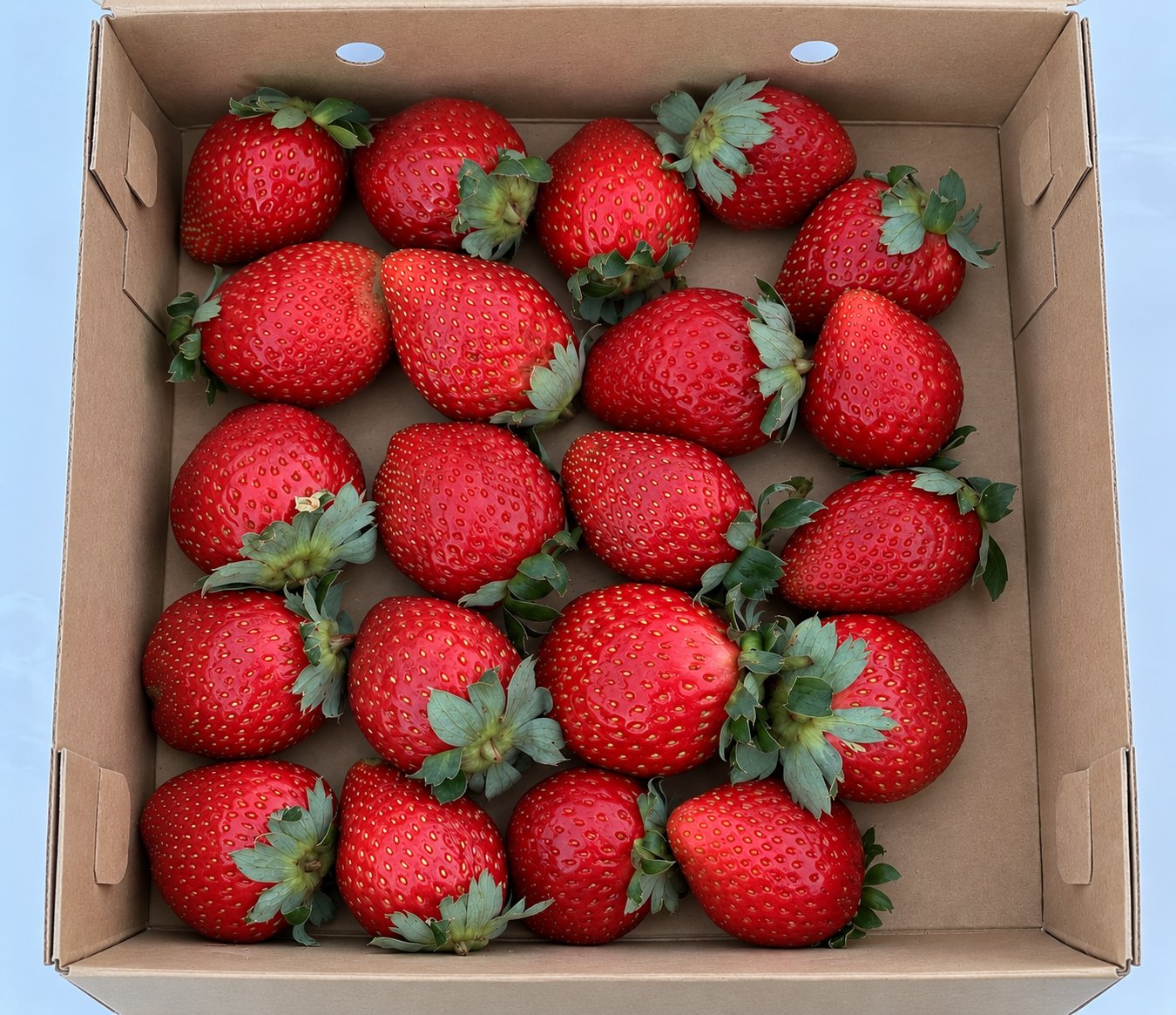 Strawberry Premium 1kg