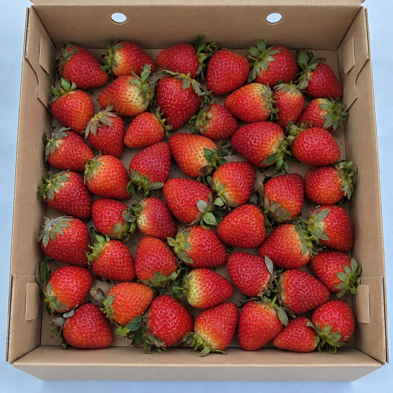 Strawberry Standart 1kg